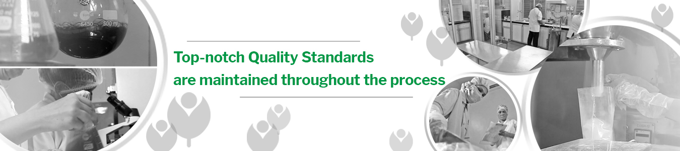 Food Safety Policy